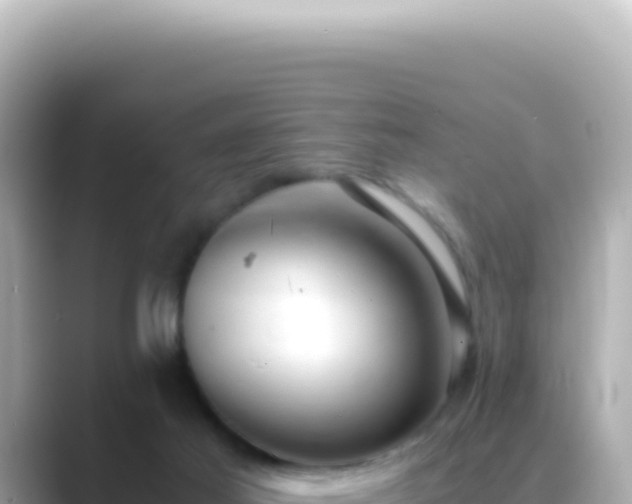 X0000089460021200706221313