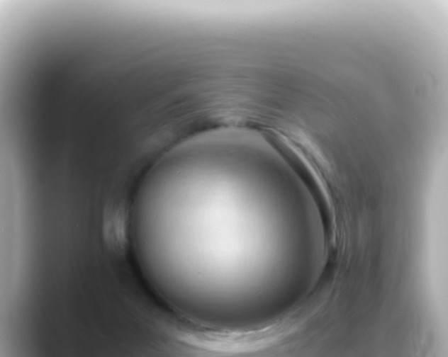 X0000089460023200706221313