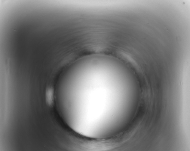 X0000089460024200706221313