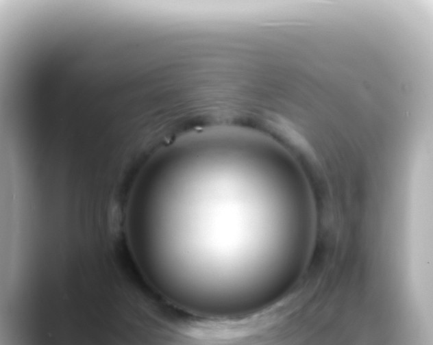 X0000089460025200706221313