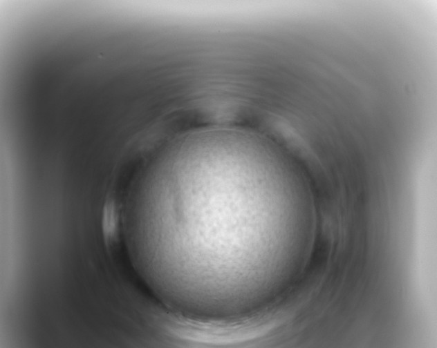 X0000089460026200706221313
