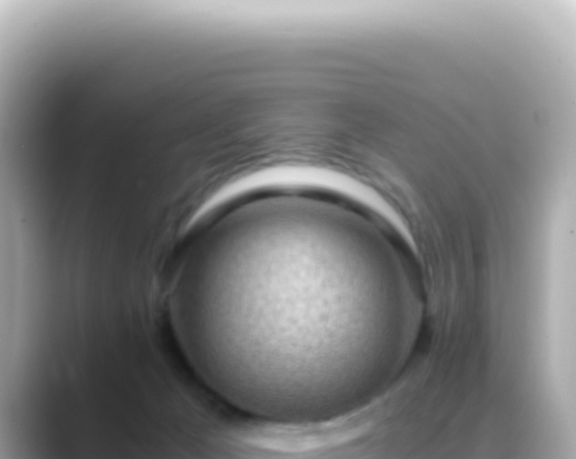 X0000089460029200706221313