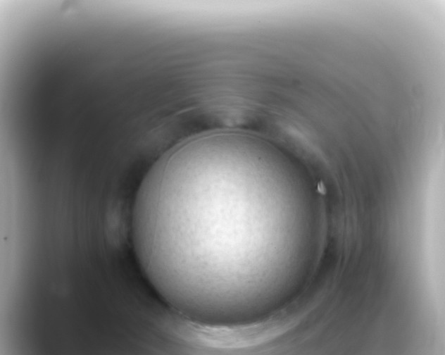 X0000089460030200706221313