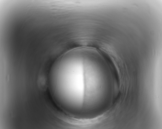 X0000089460031200706221313