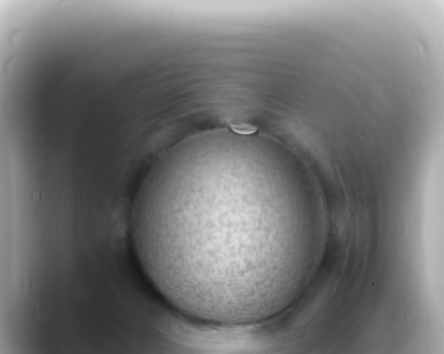 X0000089460032200706221313