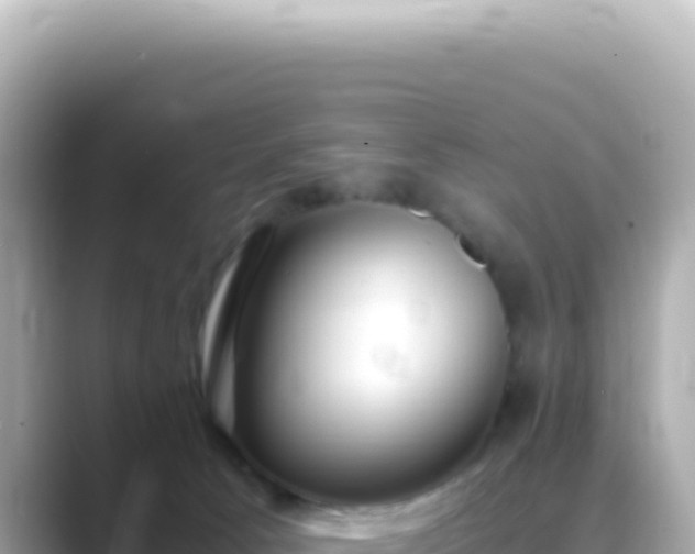 X0000089460033200706221313