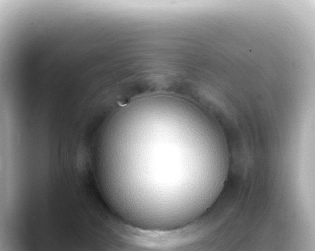 X0000089460034200706221313