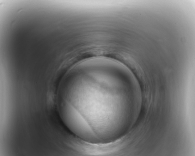 X0000089460035200706221313