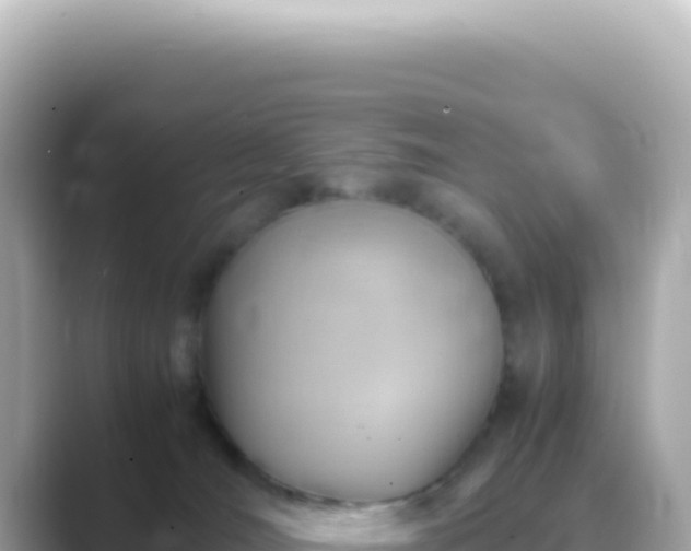 X0000089460036200706221313