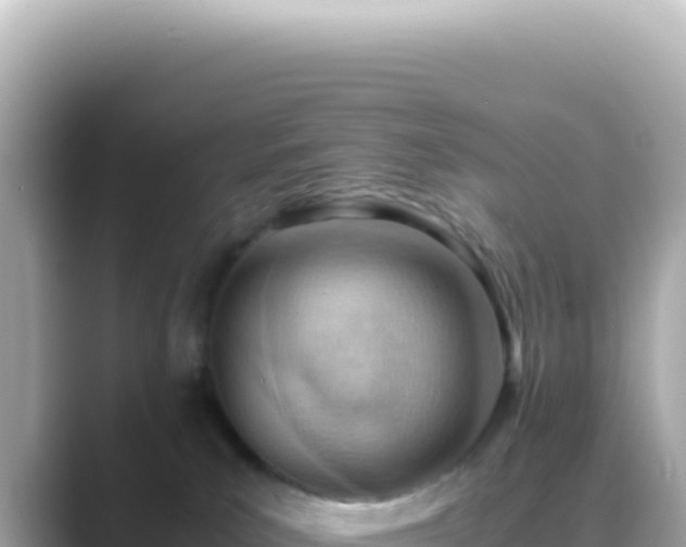 X0000089460039200706221313