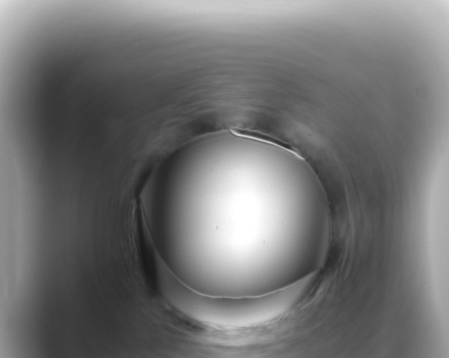 X0000089460041200706221313