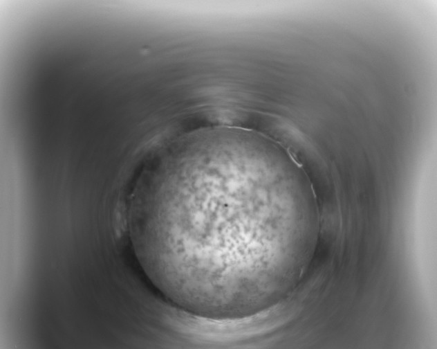 X0000089460043200706221313