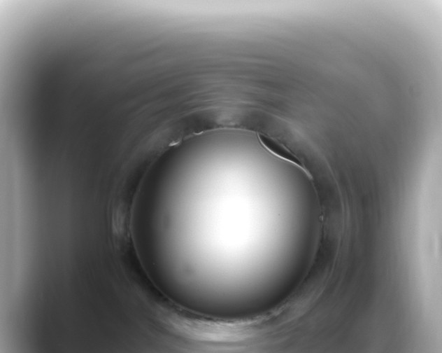 X0000089460044200706221313