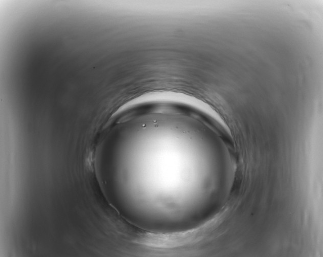 X0000089460045200706221313