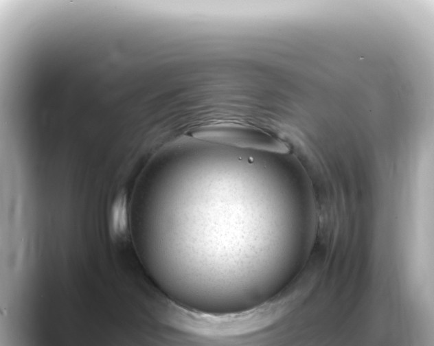 X0000089460046200706221313