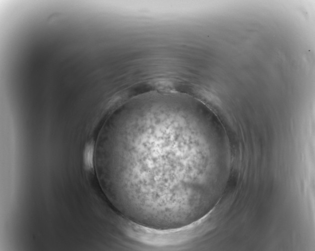 X0000089460047200706221313