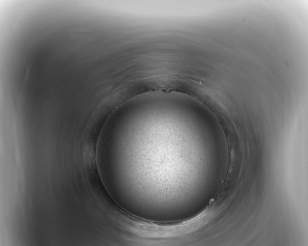 X0000089460048200706221313