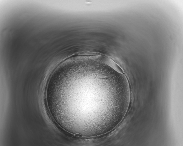 X0000089460049200706221312