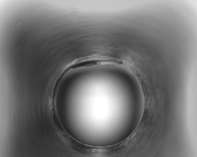 X0000089460050200706221312