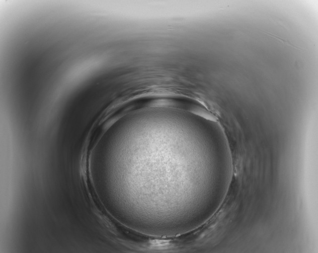 X0000089460052200706221312
