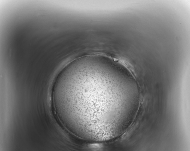 X0000089460053200706221312