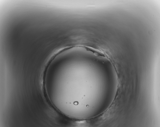 X0000089460054200706221312