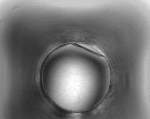 X0000089460055200706221312