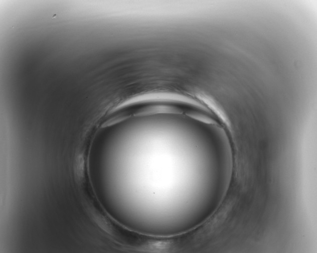X0000089460057200706221312