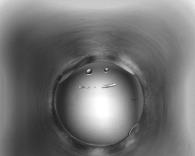 X0000089460058200706221312