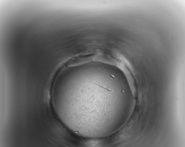 X0000089460059200706221312