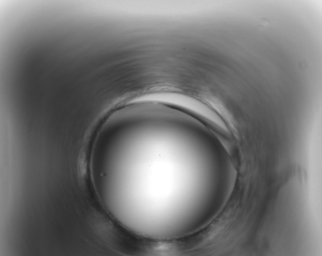 X0000089460060200706221312