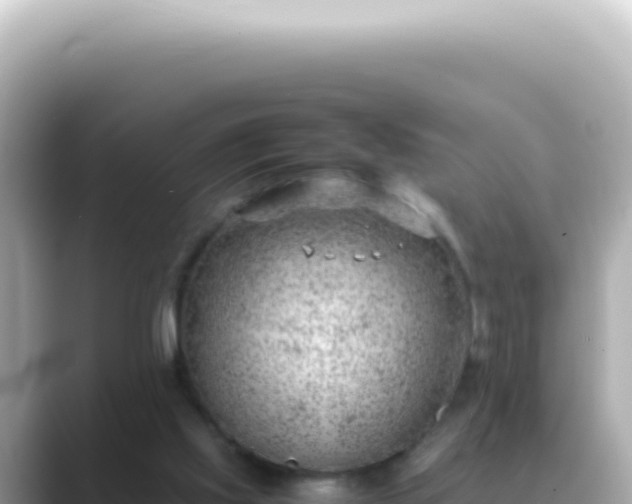 X0000089460061200706221312