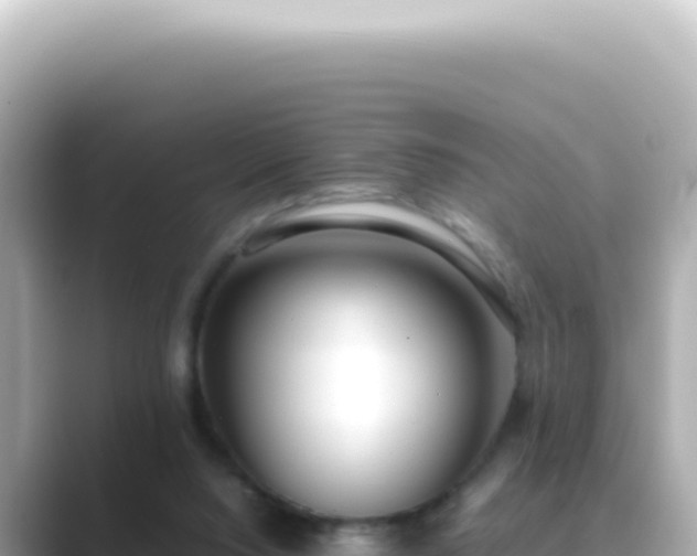 X0000089460064200706221312