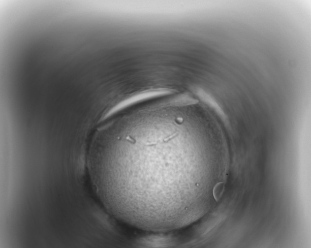 X0000089460065200706221312