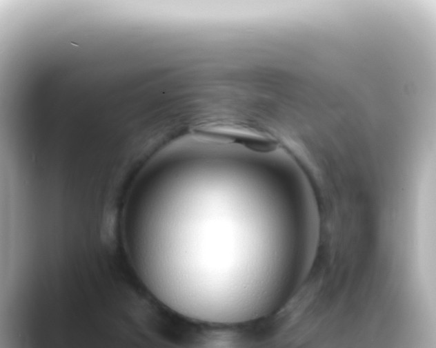 X0000089460066200706221312