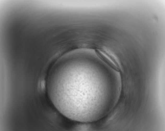 X0000089460067200706221312