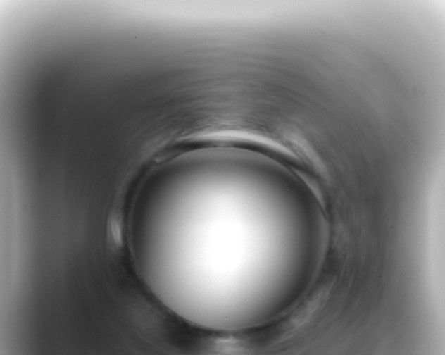 X0000089460068200706221312