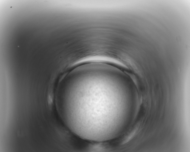 X0000089460072200706221312