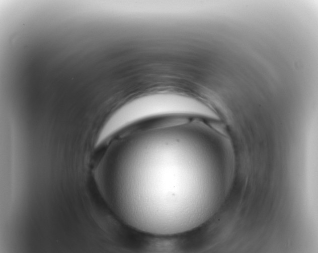 X0000089460073200706221312