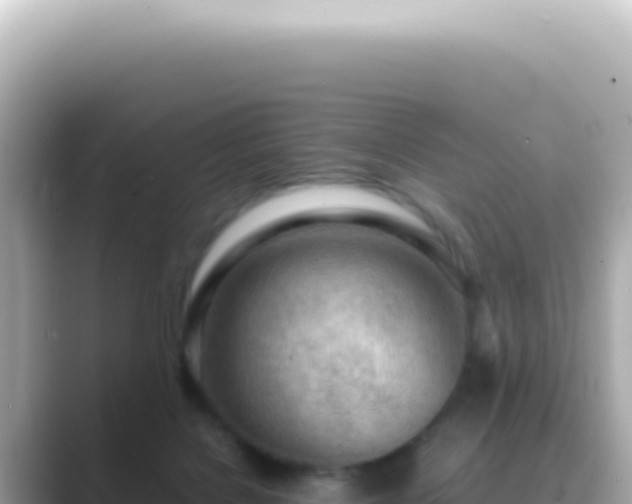X0000089460076200706221313