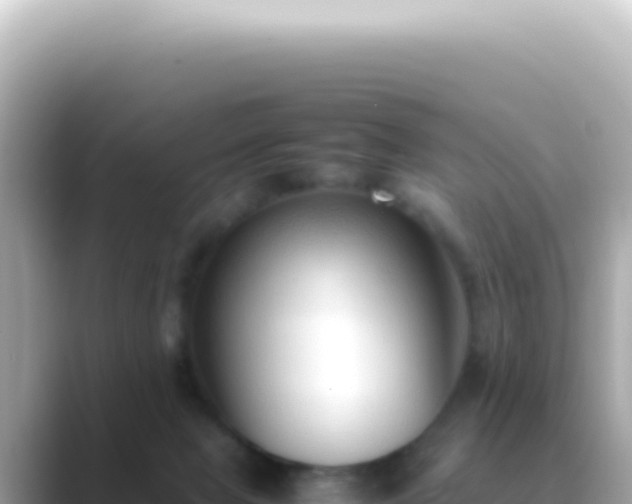 X0000089460077200706221313