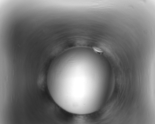 X0000089460079200706221313