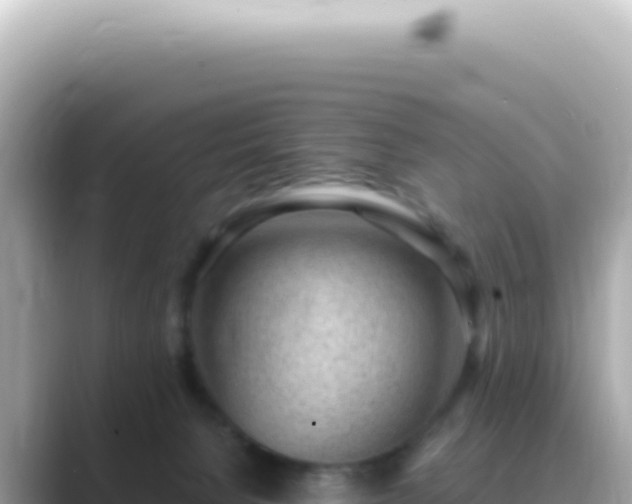 X0000089460080200706221313