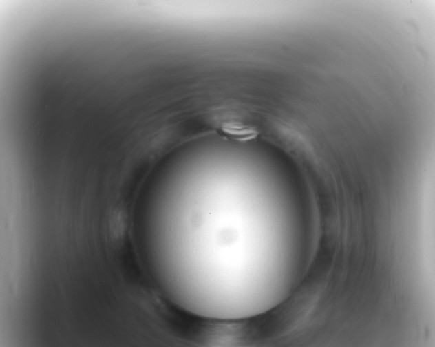 X0000089460081200706221313