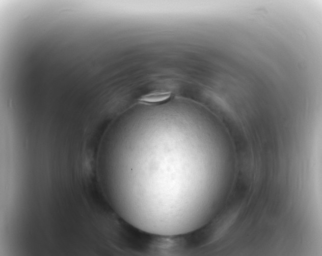 X0000089460083200706221313