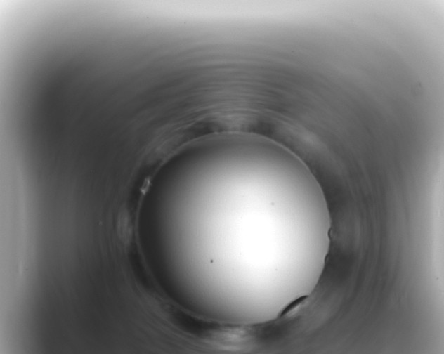 X0000089460086200706221313