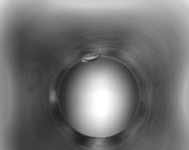 X0000089460089200706221313