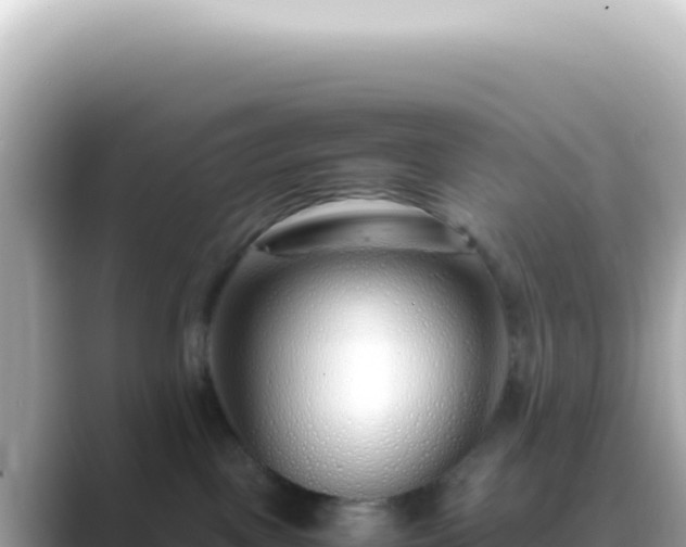 X0000089460093200706221313