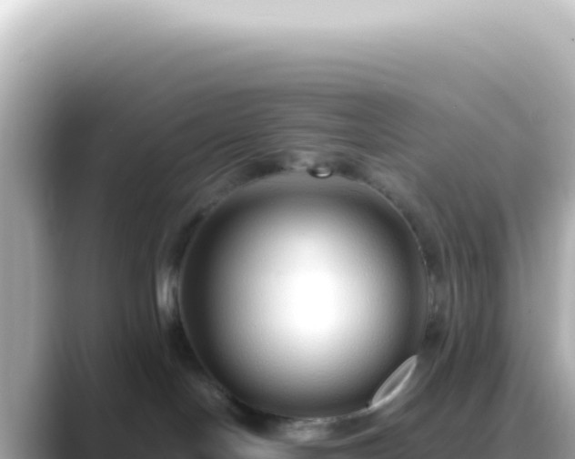 X0000089460094200706221313