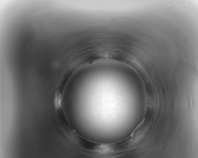 X0000089460095200706221313